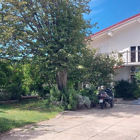 Apartmani Tinka ستاريغغاد باكلينتسا المظهر الخارجي الصورة